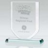 Picture of Jade Glass Shield (10mm Thick) - 6.75in