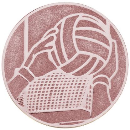 Picture of Metal Gaelic Football Centre 50mm Bronze