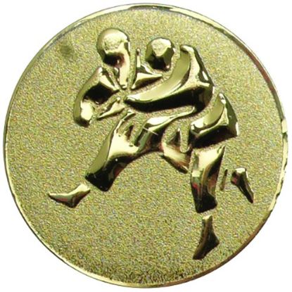 Picture of Metal Judo Centre 50mm Gold