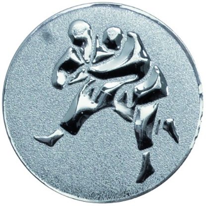 Picture of Metal Judo Centre 50mm Silver