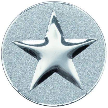 Picture of Metal Star Centre 50mm Silver - 2in