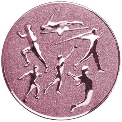 Picture of Metal Multi Athletics Centre 50mm Bronze - 2in