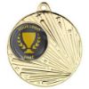 Picture of Shooting Star Medal (1in Centre) Gold - 2in