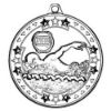 Picture of Swimming Tri Star Medal Silver - 2in