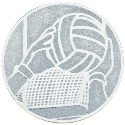 Picture of Metal Gaelic Football Centre 25mm Silver - 1in