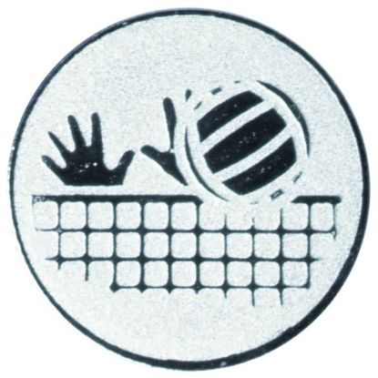 Picture of Metal Volleyball Centre 25mm Silver - 1in