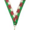 Picture of Medal Ribbon Welsh Flag - 30 X 0.875in