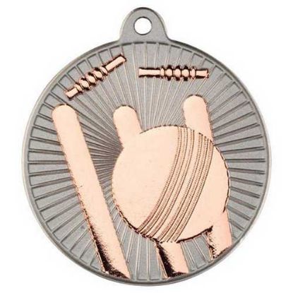 Picture of Cricket Two Colour Medal Matt Silver~bronze