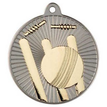 Picture of Cricket Two Colour Medal Matt Silver|gold - 2in