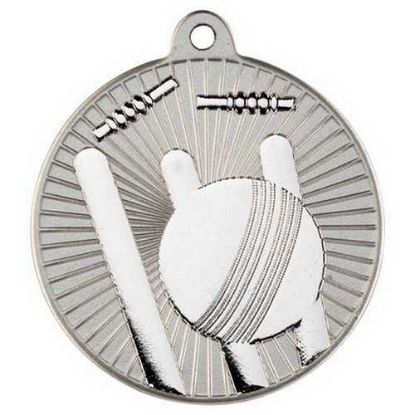 Picture of Cricket Two Colour Medal Matt Silver|silver - 2in