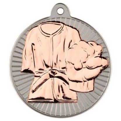 Picture of Martial Arts Two Colour Medal Matt Silver|bronze - 2in