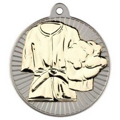 Picture of Martial Arts Two Colour Medal Matt Silver|gold - 2in