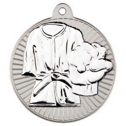 Picture of Martial Arts Two Colour Medal Matt Silver|silver - 2in