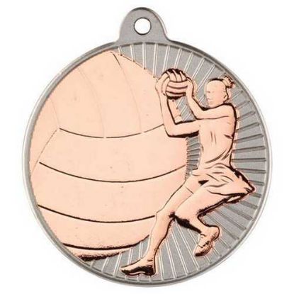Picture of Netball Two Colour Medal Matt Silver|bronze - 2in