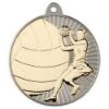 Picture of Netball Two Colour Medal Matt Silver|gold - 2in