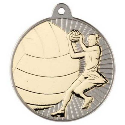 Picture of Netball Two Colour Medal Matt Silver|gold - 2in