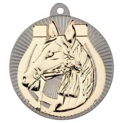 Picture of Horse Two Colour Medal Matt Silver|gold - 2in