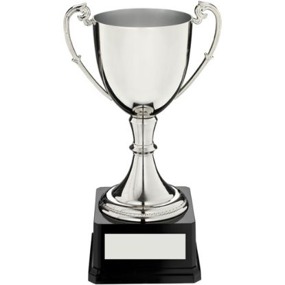 Picture of Nickel Plated Cup On Heavyweight Base