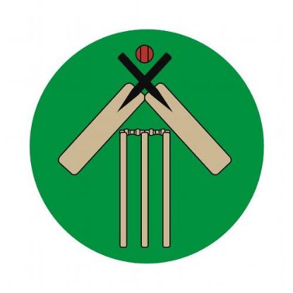 Picture of Acrylic Centre Cricket Bat~wicket