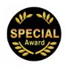 Picture of Acrylic Photo Action Centre Special Award - 1in
