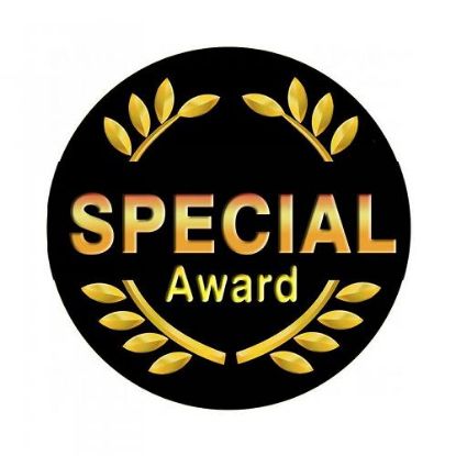 Picture of Acrylic Photo Action Centre Special Award - 1in