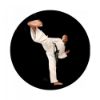 Picture of Acrylic Photo Action Centre Karate - 1in