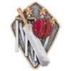 Picture of Cricket Generic Diamond Disc In Pewter|gold|red - 4 X 3in
