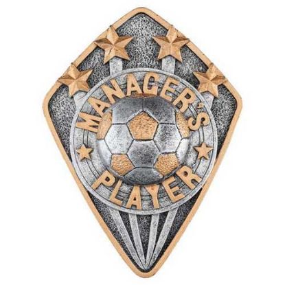 Picture of Pewter~gold Diamond Disc Football Managers Player