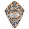 Picture of Football Most Improved Player Diamond Disc In Pewter|gold - 4 X 3in