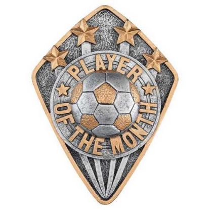 Picture of Pewter~gold Diamond Disc Football Player Of The Month