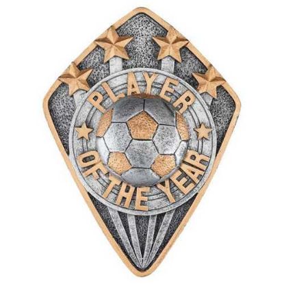 Picture of Football Player Of The Year Diamond Disc In Pewter|gold - 4 X 3in