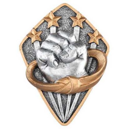 Picture of Martial Arts Diamond Disc In Pewter|gold - 4 X 3in