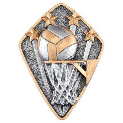 Picture of Netball Diamond Disc In Pewter|gold - 4 X 3in