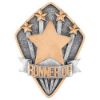 Picture of Runner Up Diamond Disc In Pewter|gold - 4 X 3in