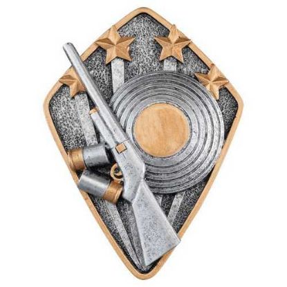 Picture of Pewter~gold Diamond Disc Shooting