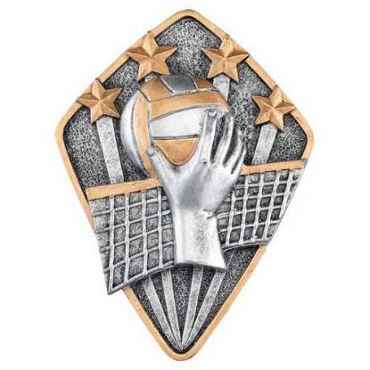 Picture of Pewter~gold Diamond Disc Volleyball