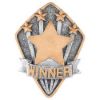 Picture of Winner Diamond Disc In Pewter|gold - 4 X 3in