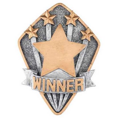 Picture of Pewter~gold Diamond Disc Winner