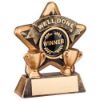 Picture of Brz|gold Well Done Mini Star (1in Cen) - 3.75in