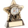 Picture of Brz|gold Reading Mini Star (1in Centre) - 3.75in