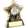 Picture of Brz|gold Reading Mini Star (1in Centre) - 3.75in