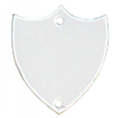 Picture of Chrome Flat Record Shield - 1.125in