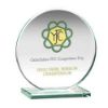 Picture of Jade Glass Round Plaque (10mm Thick) - 8in