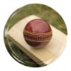 Picture of Acrylic Photo Action Centre Cricket Bat And Ball - 1in