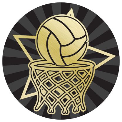 Picture of Netball Gold~black Printed Centre 50mm