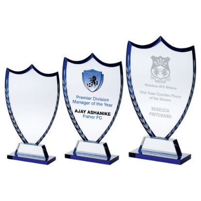 Picture of Clear Glass Shield With Blue Edge And Frosted Wreath (10mm Thick)