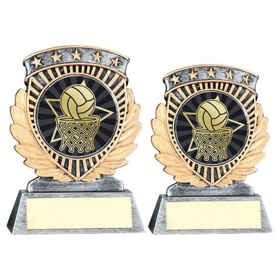 Trophy Distributors - Pew|gold 5 Star Holder With Vinyl Netball Insert ...