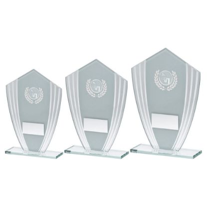 Picture of White~silver Glass Shield Plaque With Netball Insert & Plate