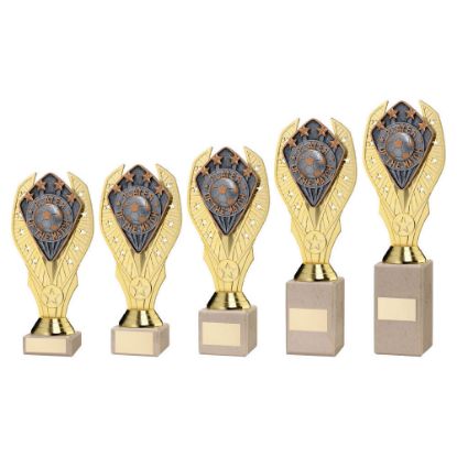 Picture of Gold Holder + Player Of The Match Disc & Cream Marble Trophy (1in Cen) - 10in