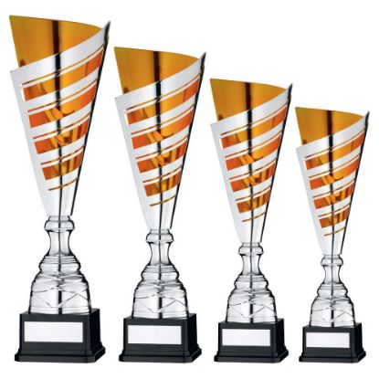 Picture of Silver~gold Stripe Cup Assembled Trophy And Plate